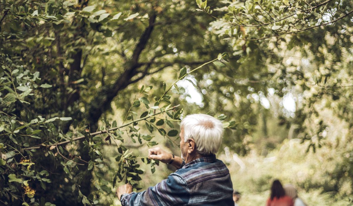 Managing Joint Pain with Gentle Tai Chi Movement